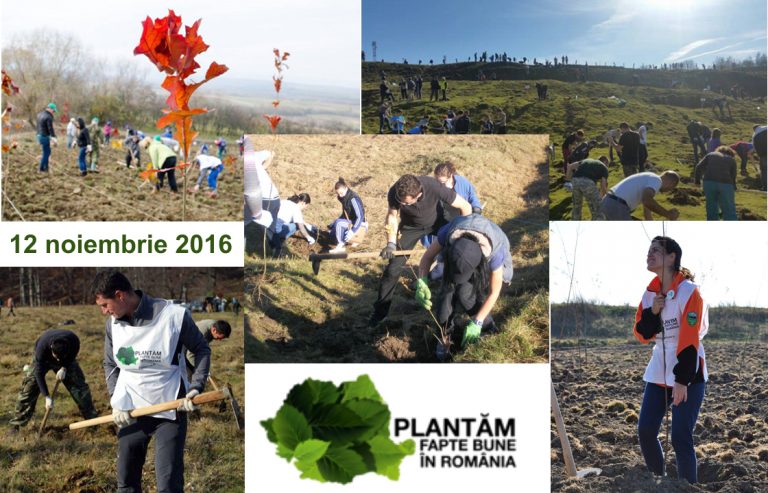 12 noiembrie – Ziua împăduririi naţionale