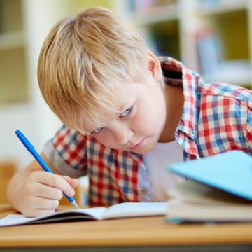 Internal Fraud- a Few Words