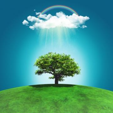 APCF 500- Generatia Viitoare